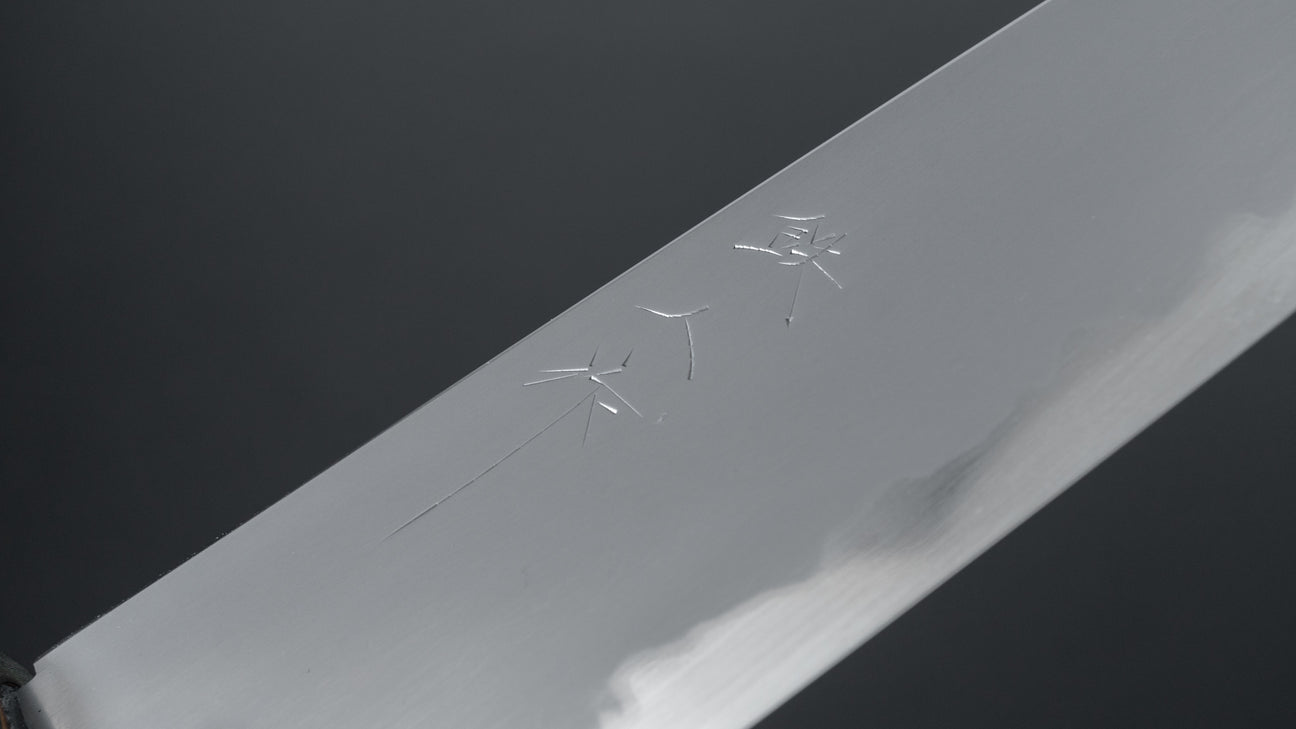 Tetsujin Blue #2 Kasumi Gyuto 210 mm Ho houten handvat