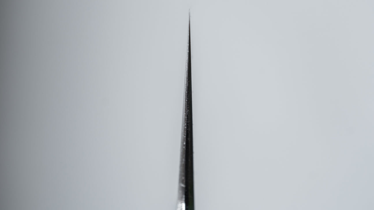 Tetsujin Blue #2 Kasumi Gyuto 210 mm Ho houten handvat