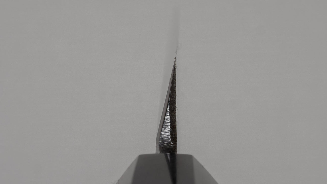 Hitohira Kikuchiyo Manzo Blue #2 Kiritsuke Yanagiba 270mm Ho Wood Handle (Saya)